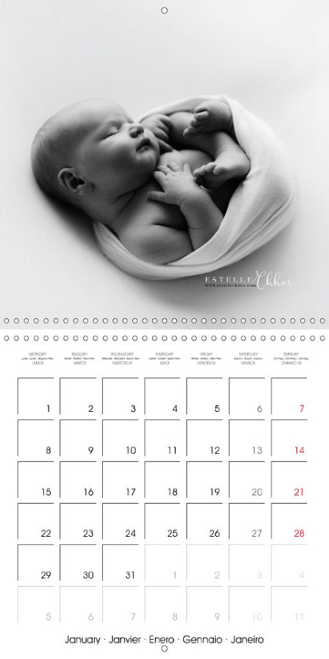 calendrier photo bébé 2018